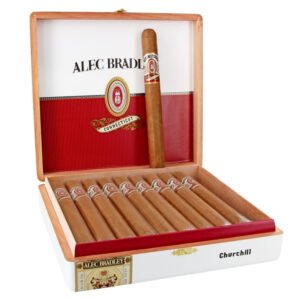 ALEC BRADLEY CONNECTICUT CHURCHILL (50X7) BOX OF 24
