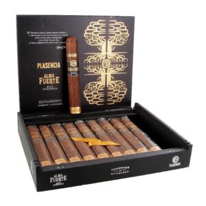 PLASENCIA ALMA FUERTE NAT-SIXTO II HEXAGON (6X60) BOX OF 10