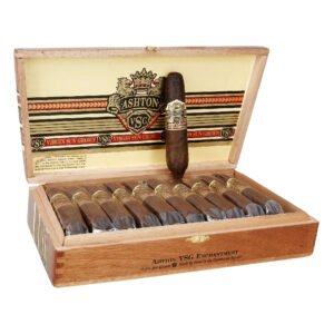 ASHTON VSG ENCHANTMENT BOX OF 22